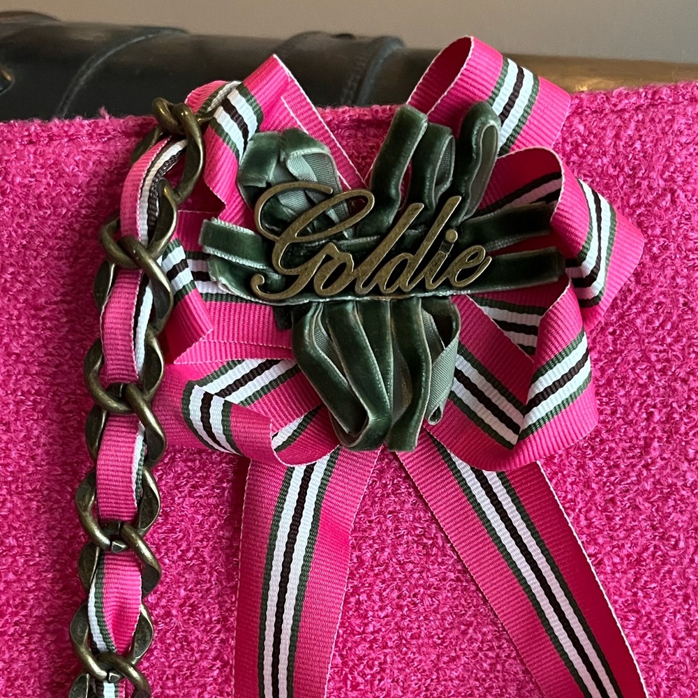 Limited Edition Hot Pink Goldie Bag by Bath & Body Works - Picture 3 of 16